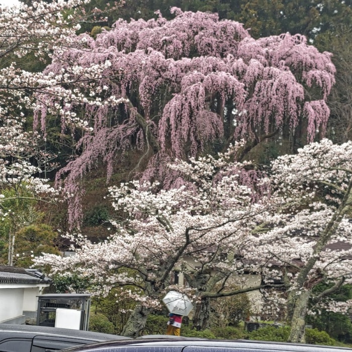 福聚寺