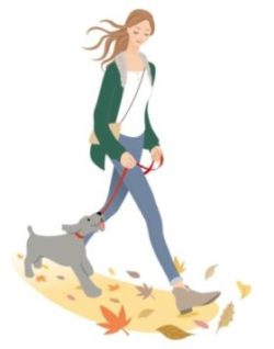 犬の散歩