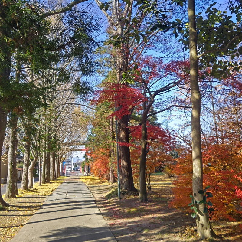 参道から見たところ