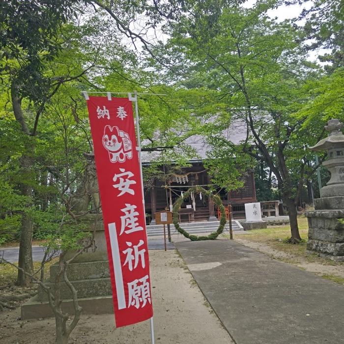 茅の輪くぐり