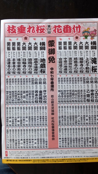枝垂れ桜花番付